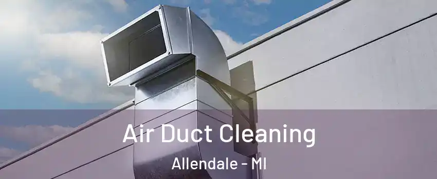  Air Duct Cleaning Allendale - MI
