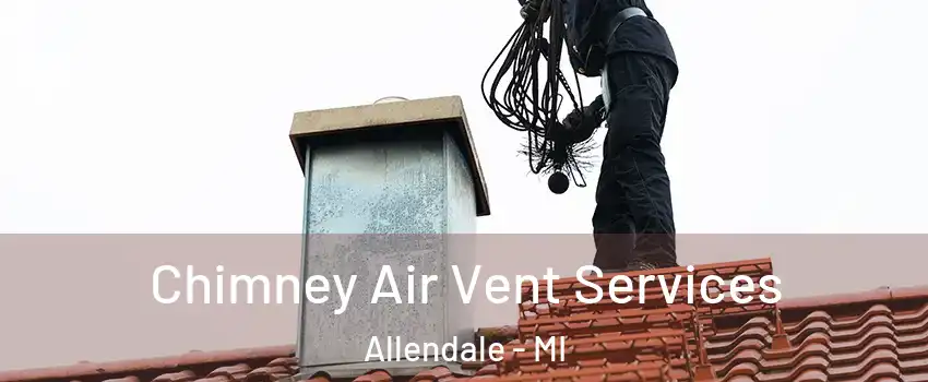  Chimney Air Vent Services Allendale - MI