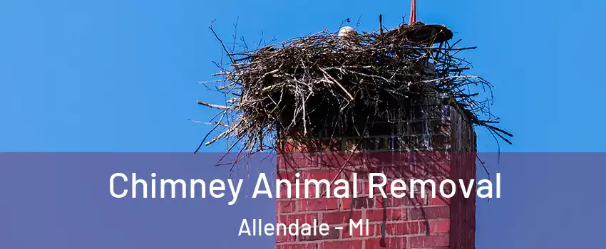  Chimney Animal Removal Allendale - MI