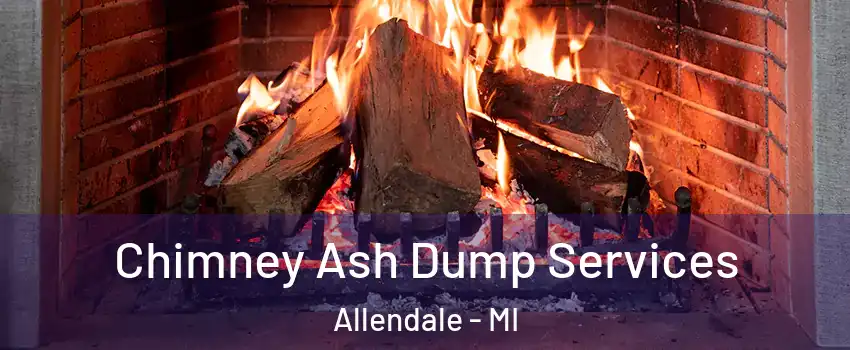 Chimney Ash Dump Services Allendale - MI