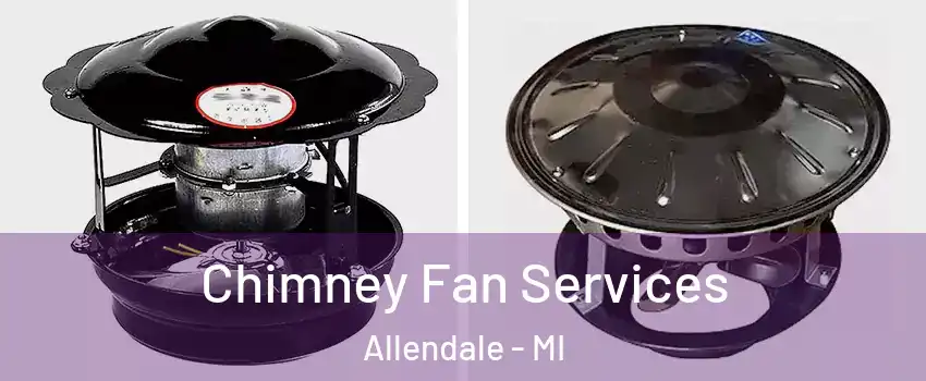  Chimney Fan Services Allendale - MI