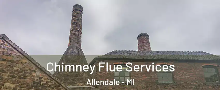  Chimney Flue Services Allendale - MI