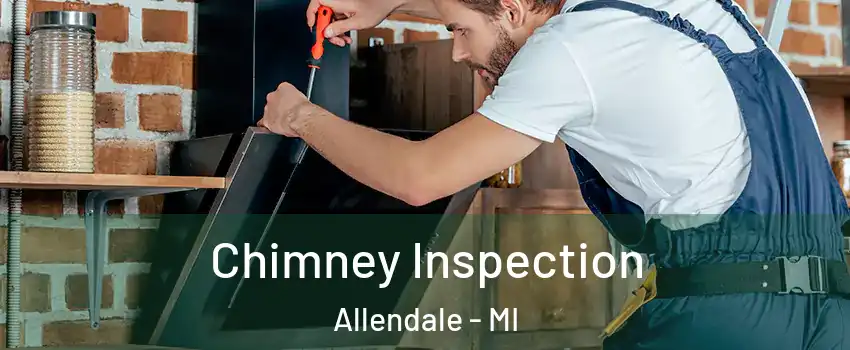  Chimney Inspection Allendale - MI