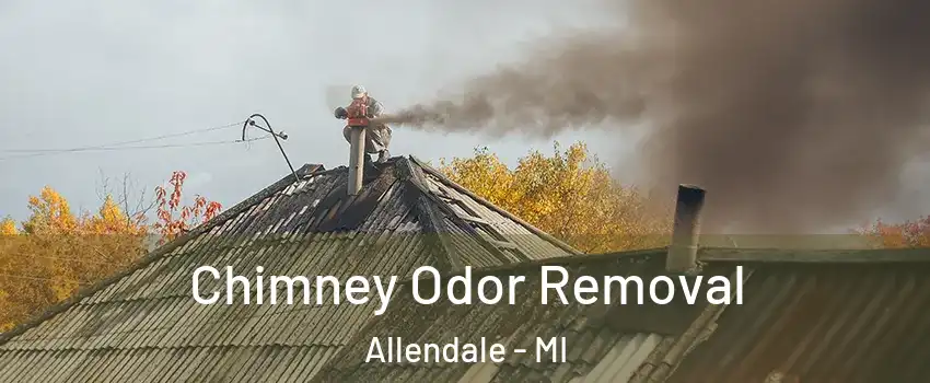  Chimney Odor Removal Allendale - MI