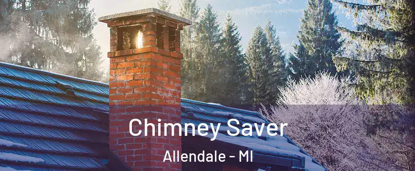  Chimney Saver Allendale - MI