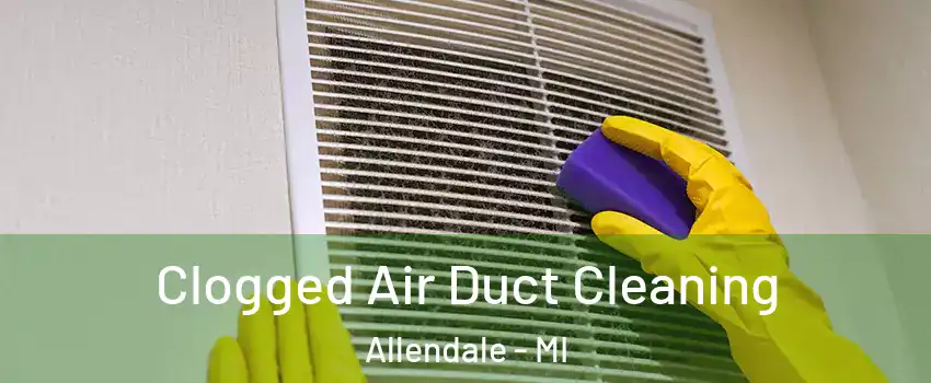  Clogged Air Duct Cleaning Allendale - MI