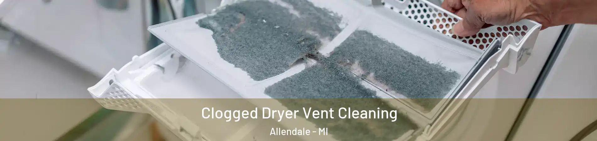  Clogged Dryer Vent Cleaning Allendale - MI