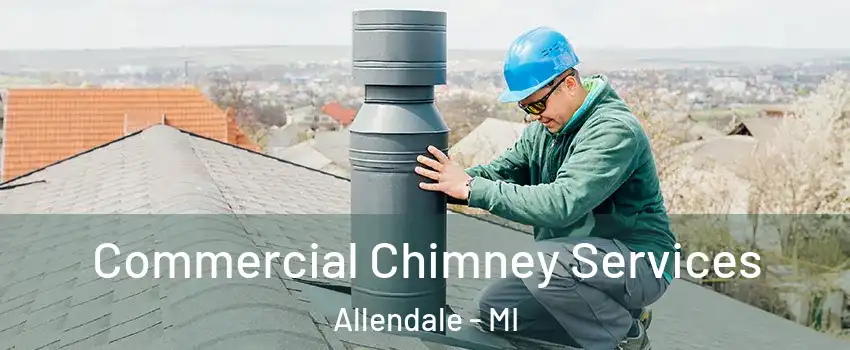  Commercial Chimney Services Allendale - MI
