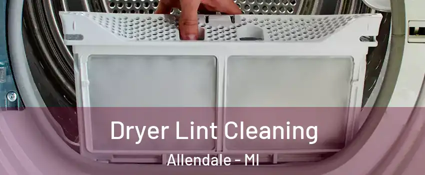  Dryer Lint Cleaning Allendale - MI
