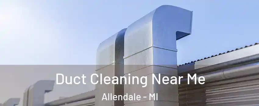  Duct Cleaning Near Me Allendale - MI