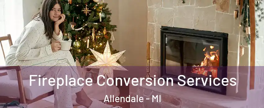  Fireplace Conversion Services Allendale - MI