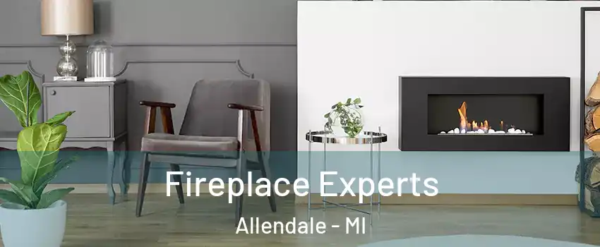  Fireplace Experts Allendale - MI