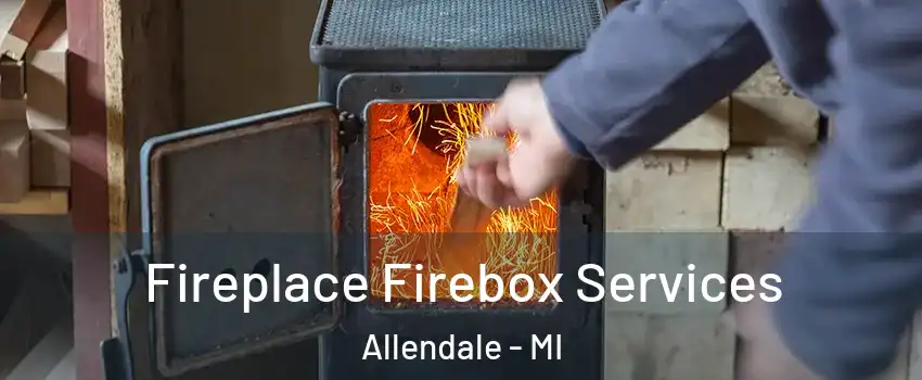  Fireplace Firebox Services Allendale - MI