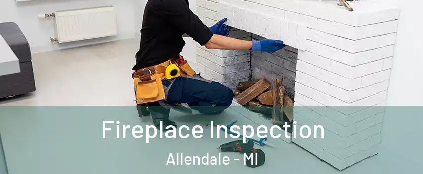  Fireplace Inspection Allendale - MI