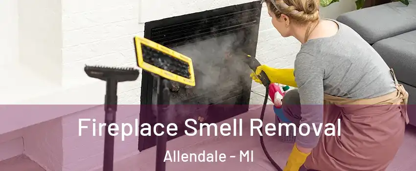  Fireplace Smell Removal Allendale - MI