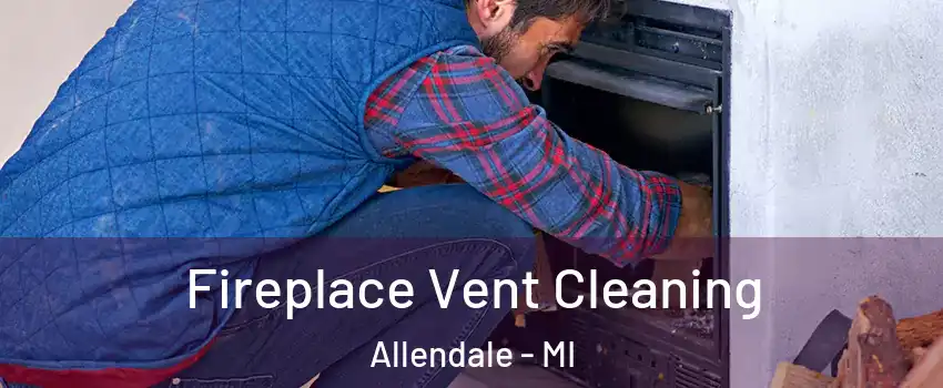 Fireplace Vent Cleaning Allendale - MI