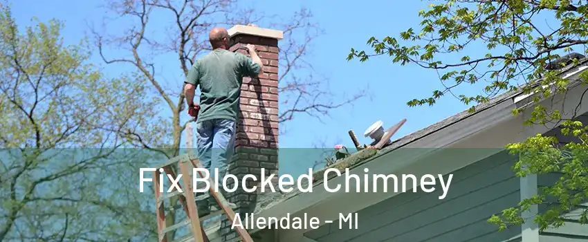  Fix Blocked Chimney Allendale - MI