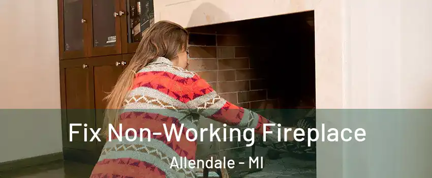 Fix Non-Working Fireplace Allendale - MI