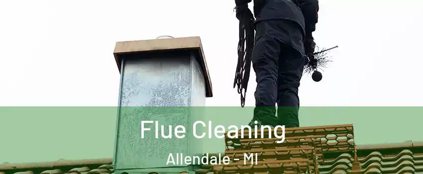  Flue Cleaning Allendale - MI