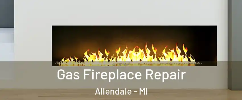  Gas Fireplace Repair Allendale - MI