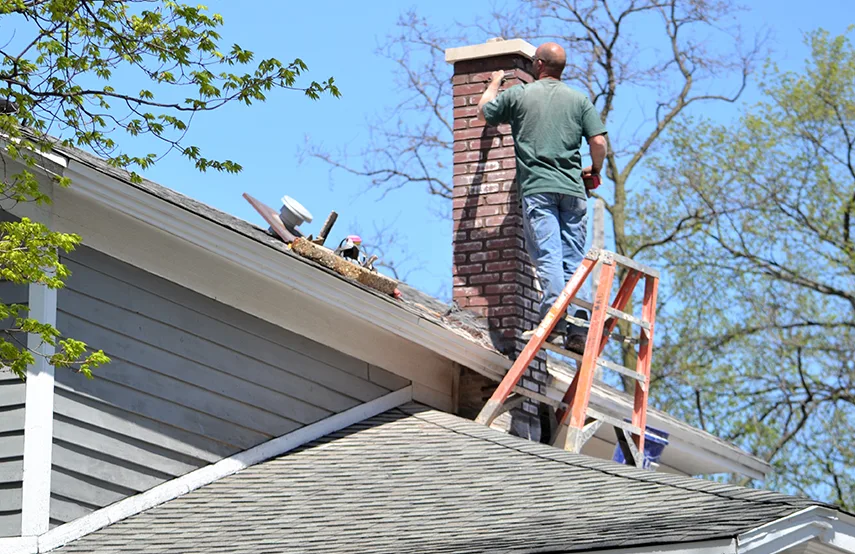 Chimney & Fireplace Inspections Services in Allendale, MI