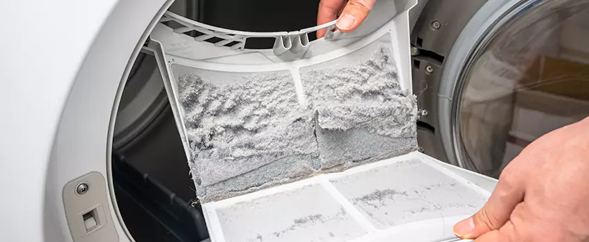 Best Dryer Lint Removal Company in Allendale, Michigan