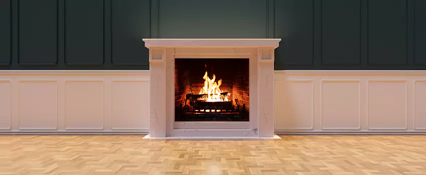 Napoleon Electric Fireplaces Inspection Service in Allendale, Michigan