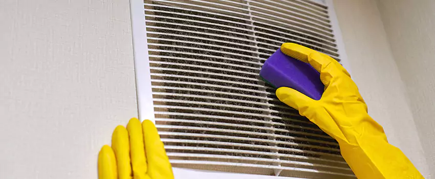Vent Cleaning Company in Allendale, MI