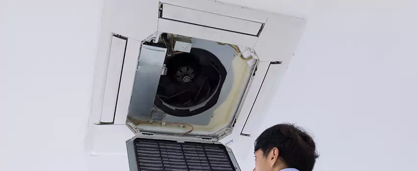 Benefits of Professional Air Duct Cleaning in Allendale, Michigan