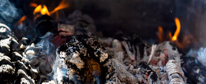 Creosote Removal Experts in Allendale, MI