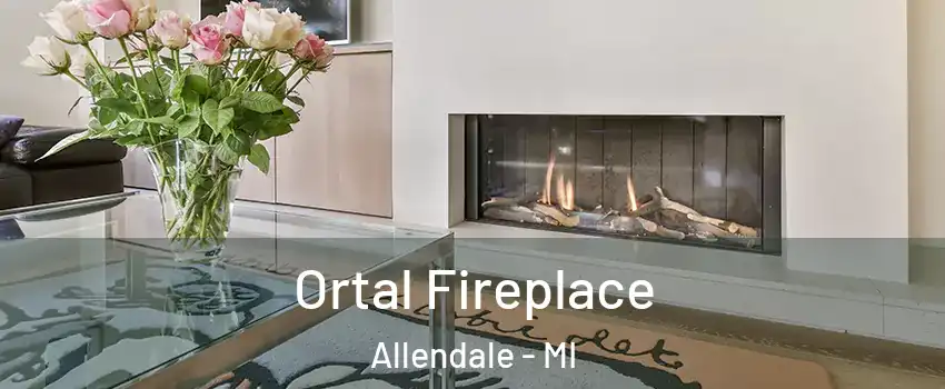  Ortal Fireplace Allendale - MI