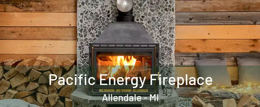  Pacific Energy Fireplace Allendale - MI