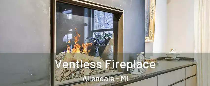  Ventless Fireplace Allendale - MI