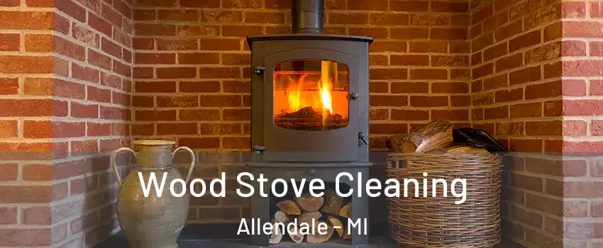  Wood Stove Cleaning Allendale - MI